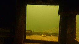 A view from inside a small wreck, looking out a door.